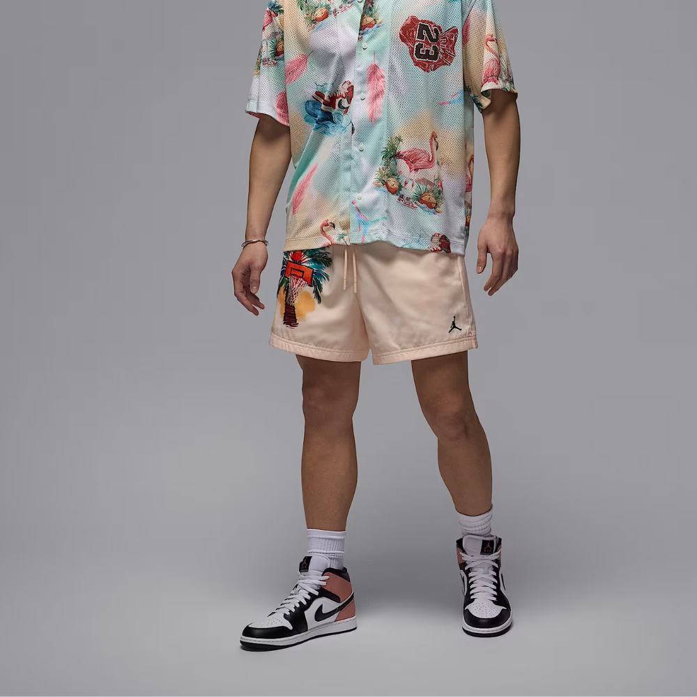 Air Jordan IV